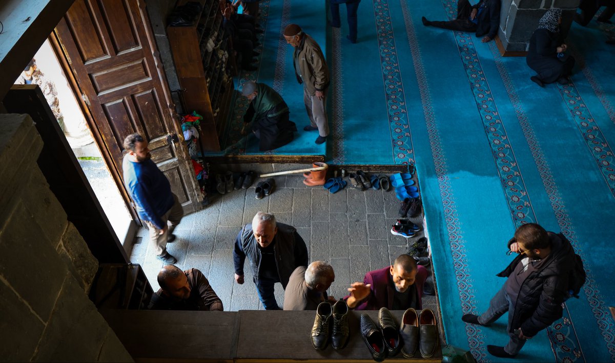 Linnea Hoover tweet media