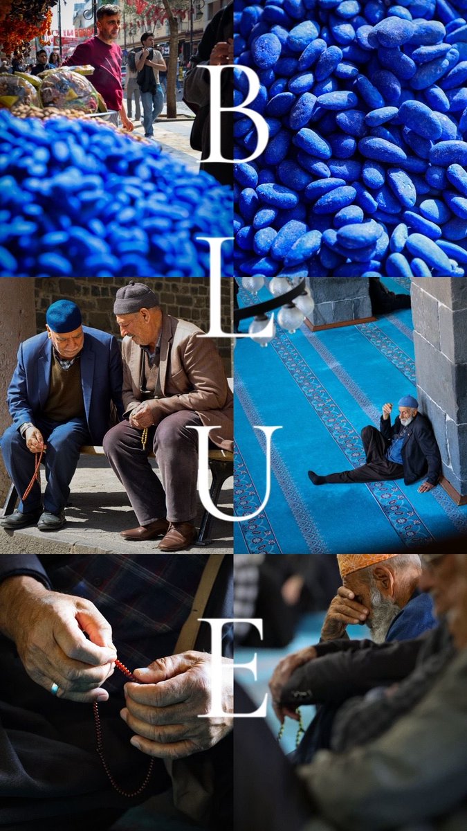 Linnea Hoover tweet media