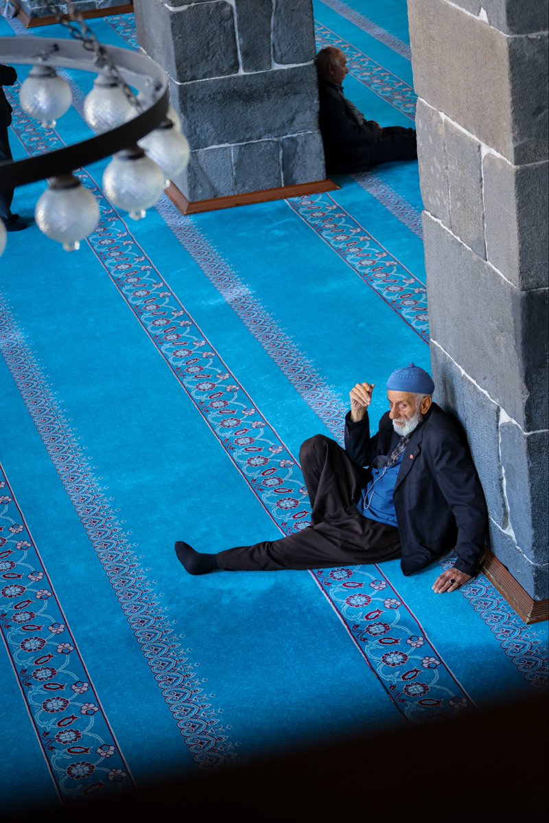 Linnea Hoover tweet media