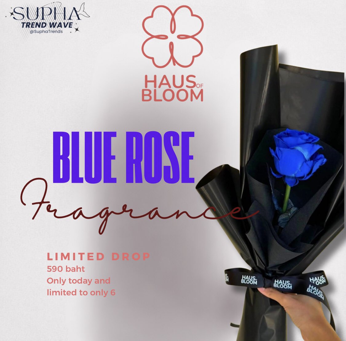 SUPHA TREND WAVE tweet media