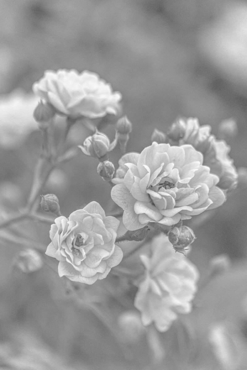 Jack Beatnic tweet media