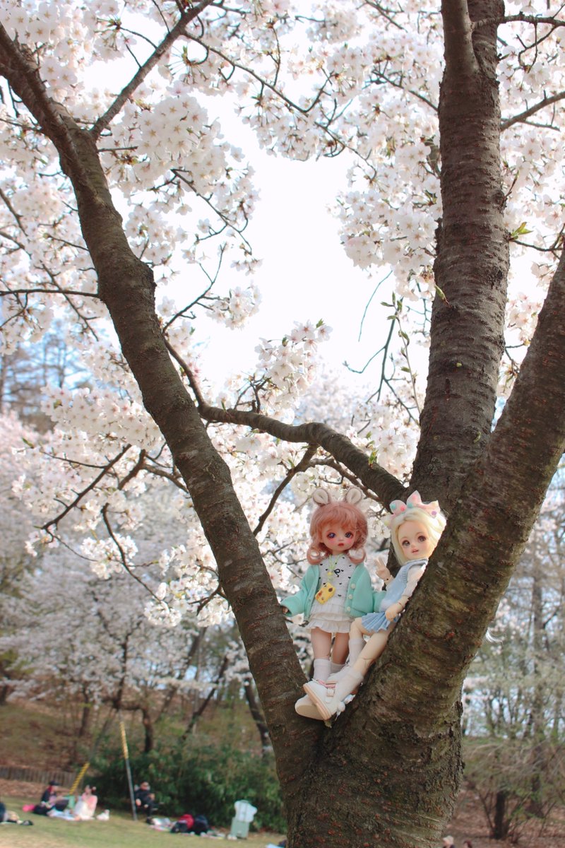 ᴊᴇɴɴɪᴇ*ʙʙᴏ🐾 tweet media