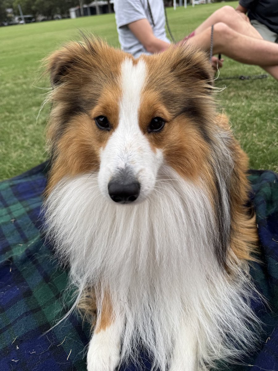 Ms D 🌈 tweet media