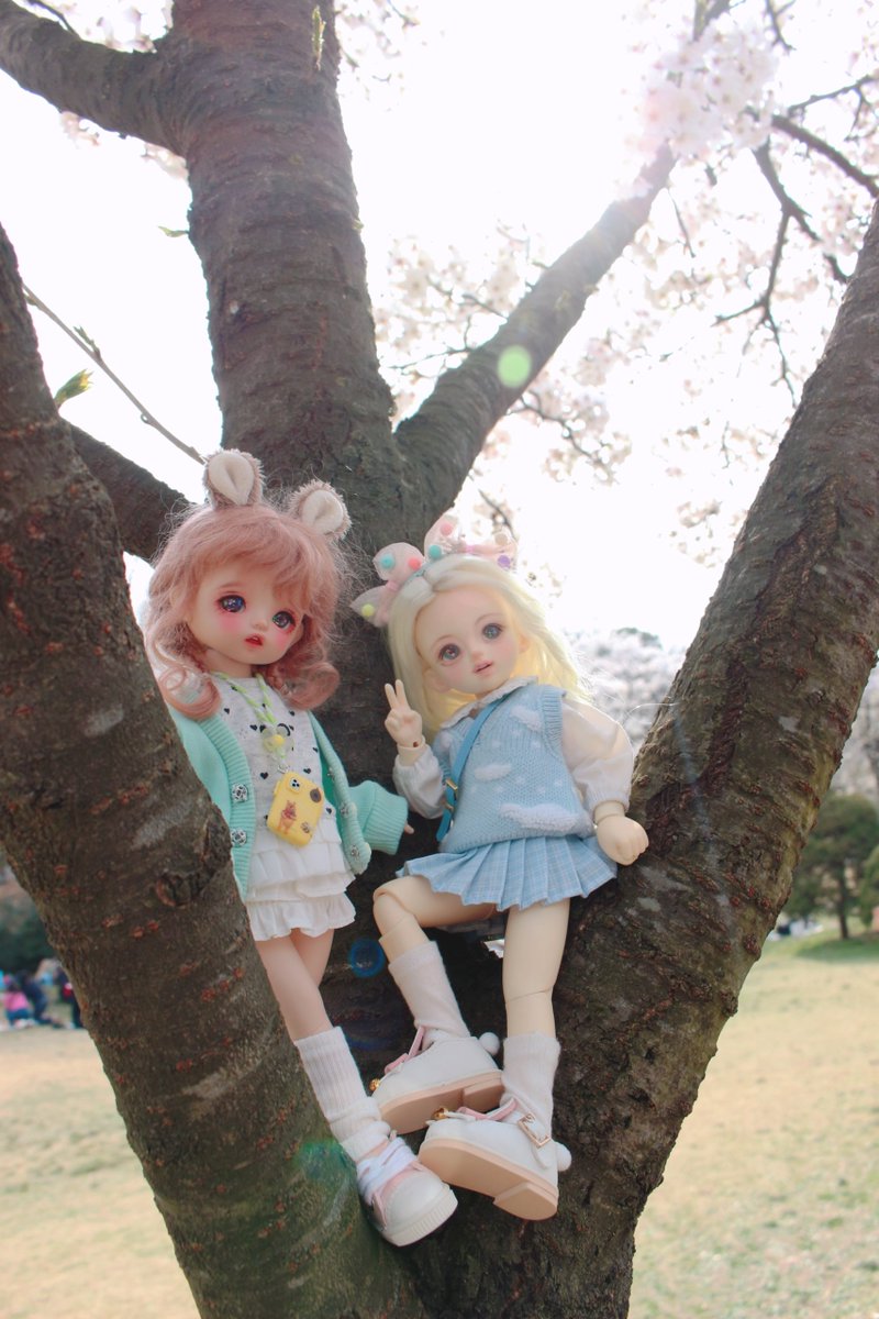 ᴊᴇɴɴɪᴇ*ʙʙᴏ🐾 tweet media