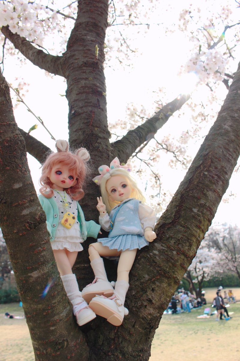 ᴊᴇɴɴɪᴇ*ʙʙᴏ🐾 tweet media