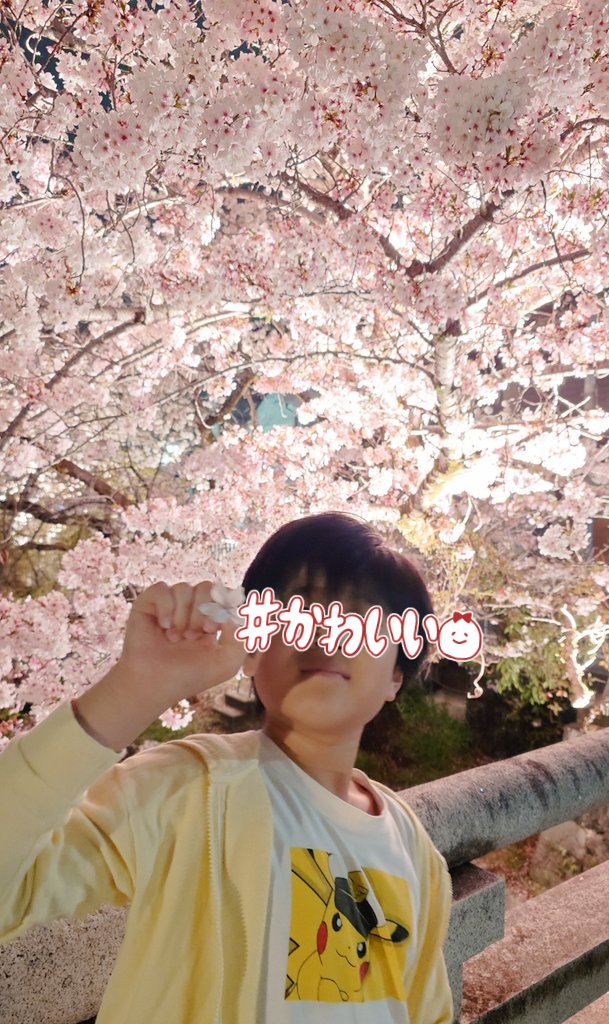 きょーちゃん きょーちゃん⚡◢(◍◕ܫ◕◍)◣⚡ (@lily1kyo8) / Posts / X