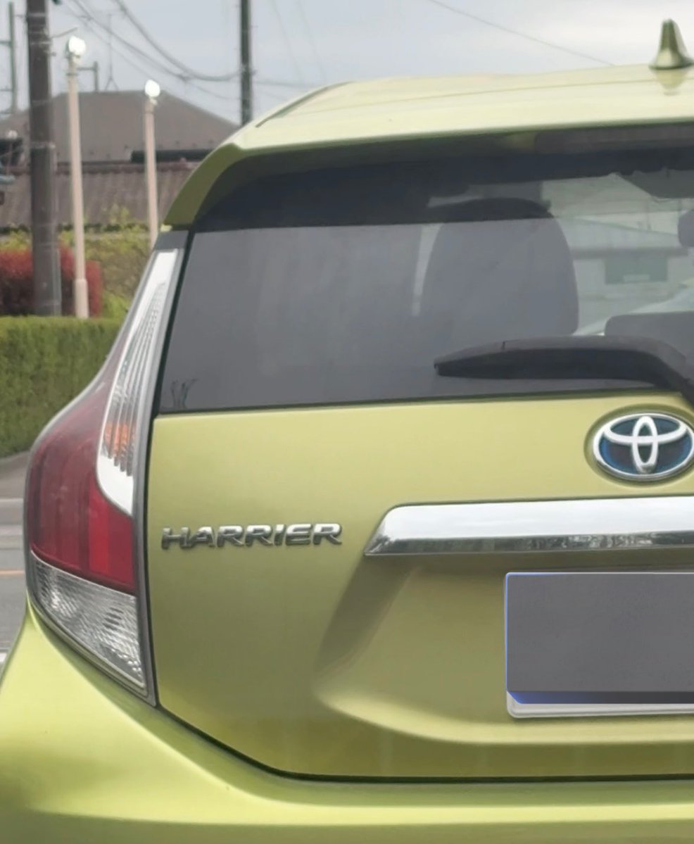 さわぁ tweet media