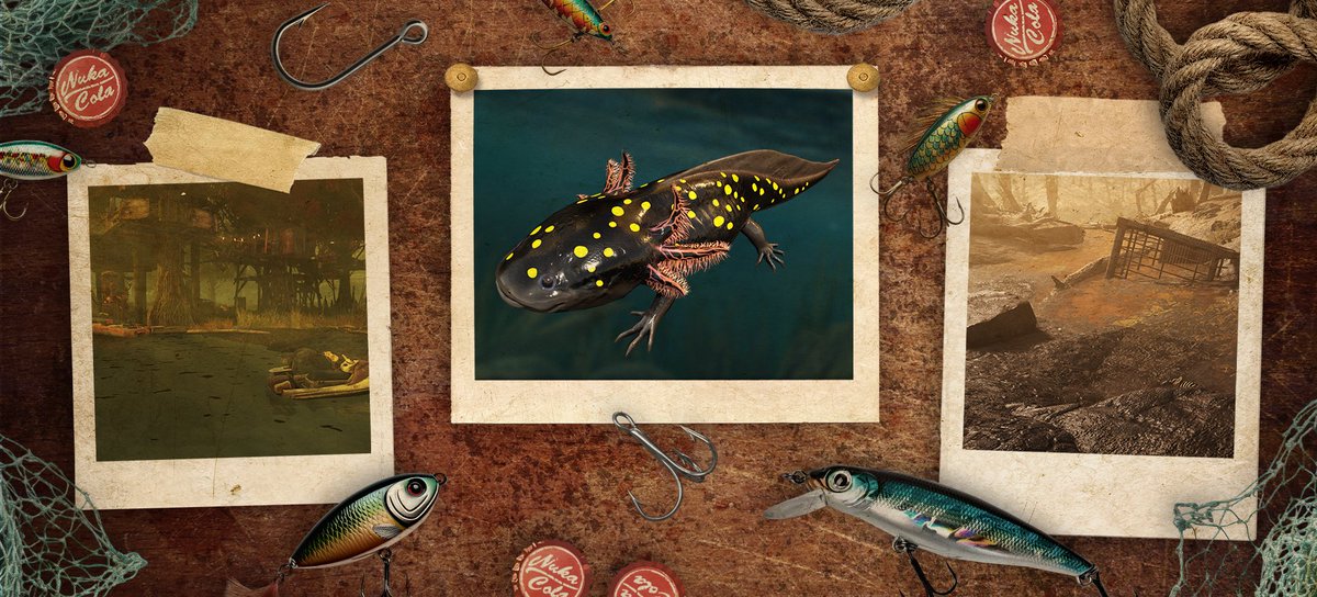 Bethesda_jpn's tweet image. 「ドット柄のアホロートル」の目撃情報⁉️👀

霧に包まれた湿地でも、灼熱の砂地でも、その姿が確認されています🦎
#Fallout76