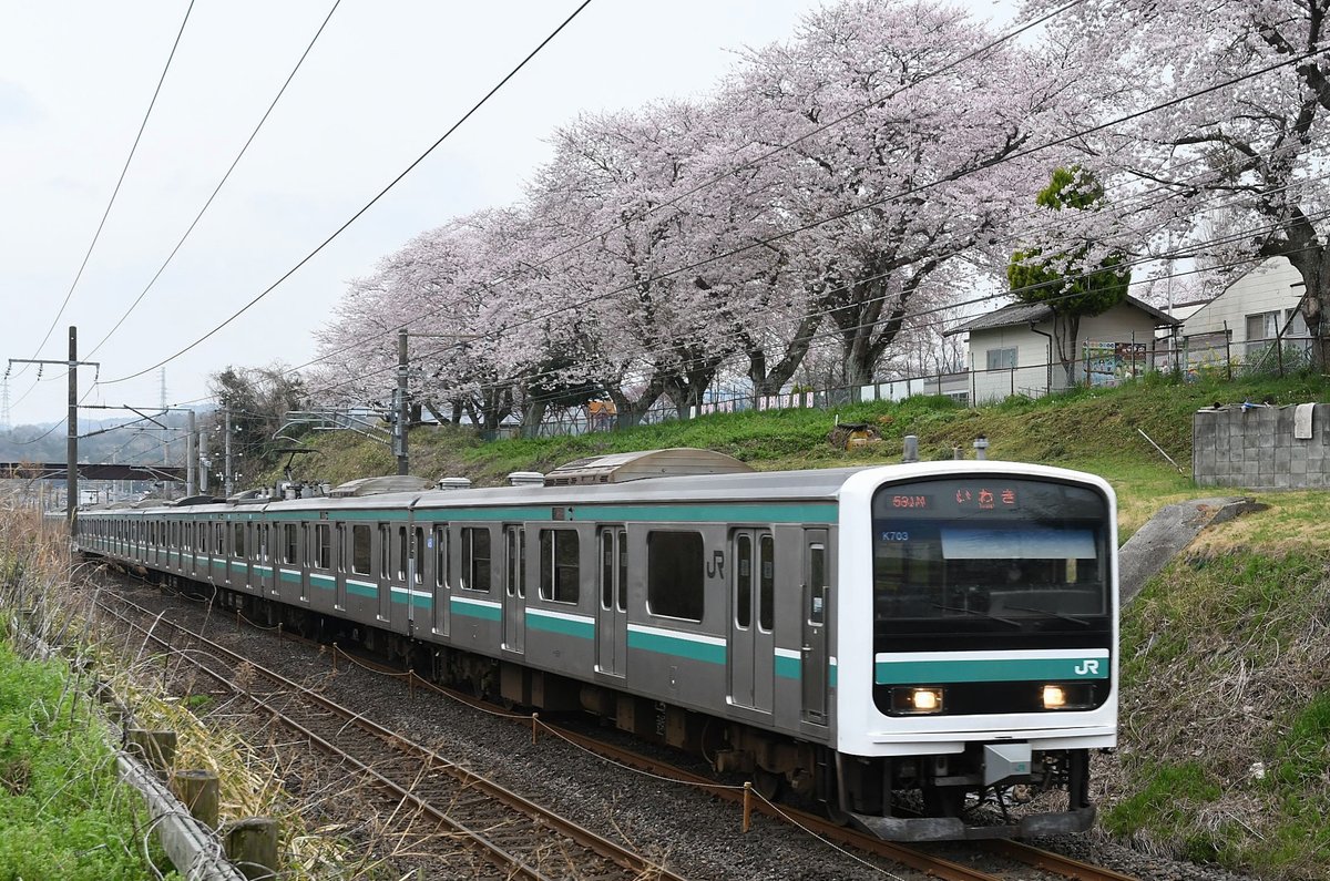 takahagikijin's tweet image. 4/7　531M　

今朝も曇り　しかも午後は荒天になり雨風強くなるとか　花散らしの雨にならないと良いのですが・・
朝のE501系は本郷　晴れたら鮮やかに桜も映るのにドン曇りってやはり冴えないよね💦