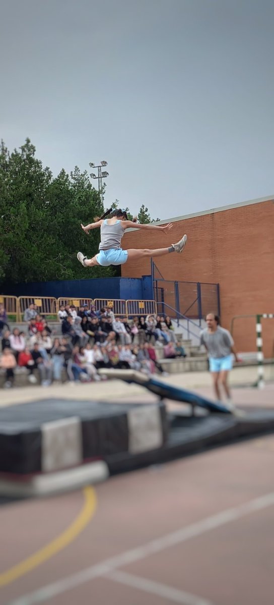 El Viso del Alcor tweet media