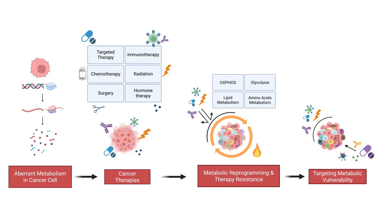Sigtrans's tweet photo. Exploiting metabolic vulnerabilities to improve cancer therapeutics: Trends in Endocrinology &amp; Metabolism https://t.co/sZdji4knOY https://t.co/3aMFZ1DGh8
