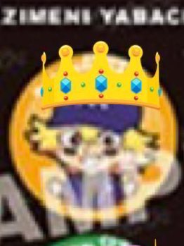 もし@プロカ任意 tweet media