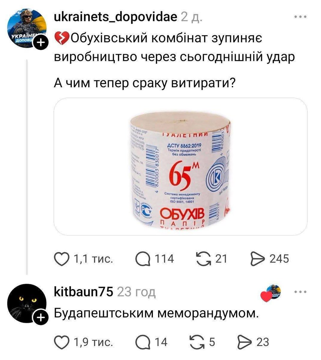 Баба і кіт tweet media