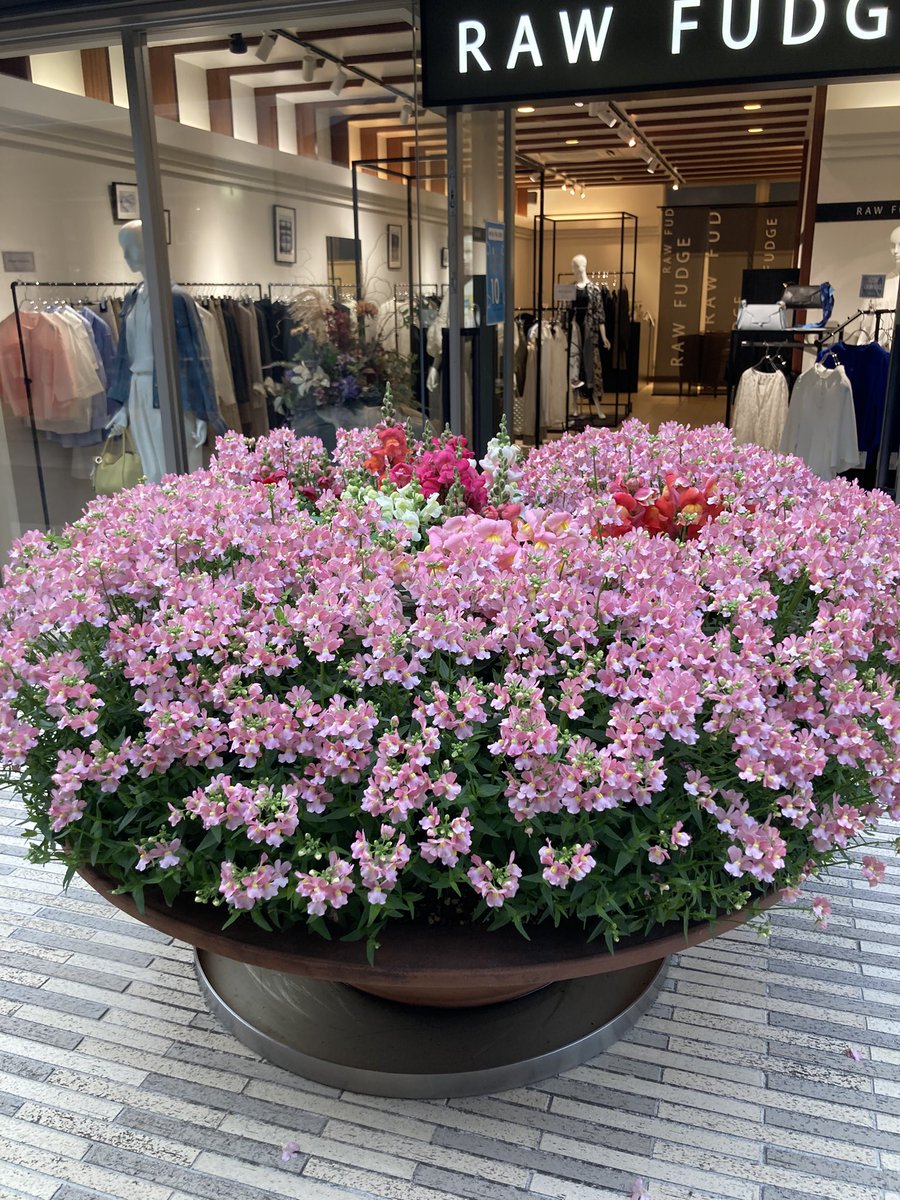 💐🪷RIE麗慧静嫣🪷💐 tweet media