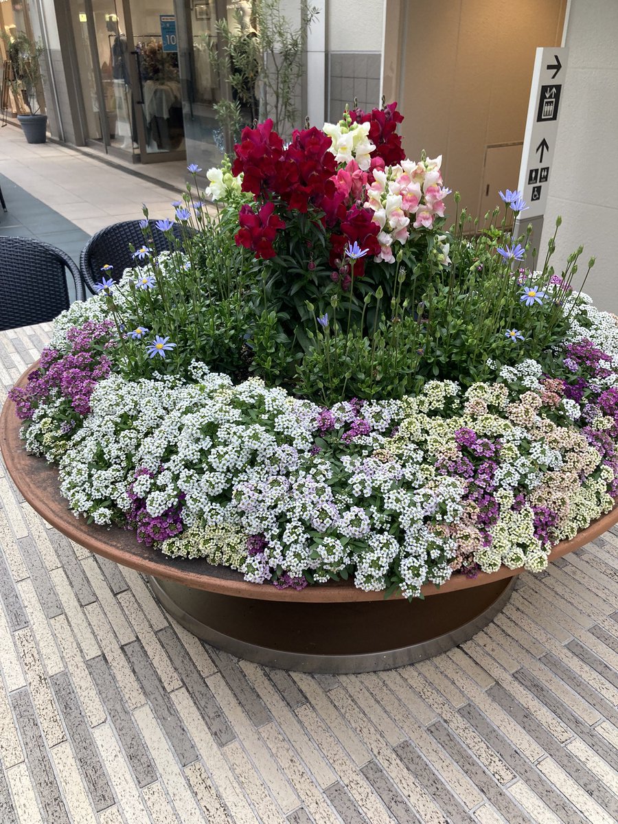 💐🪷RIE麗慧静嫣🪷💐 tweet media