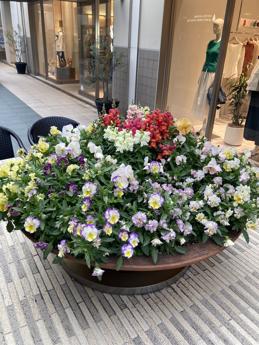 💐🪷RIE麗慧静嫣🪷💐 tweet media