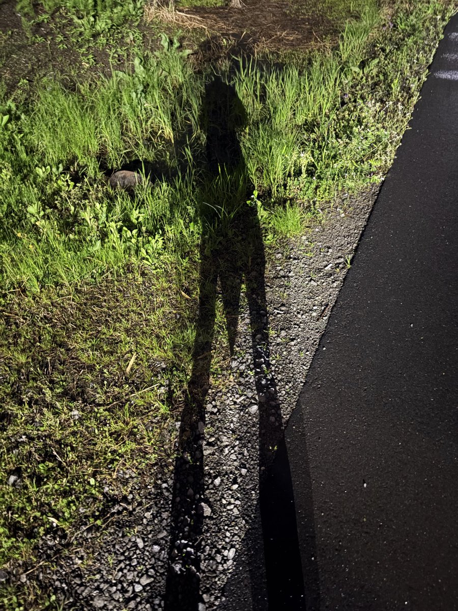 てんむす@S株ハンター tweet media