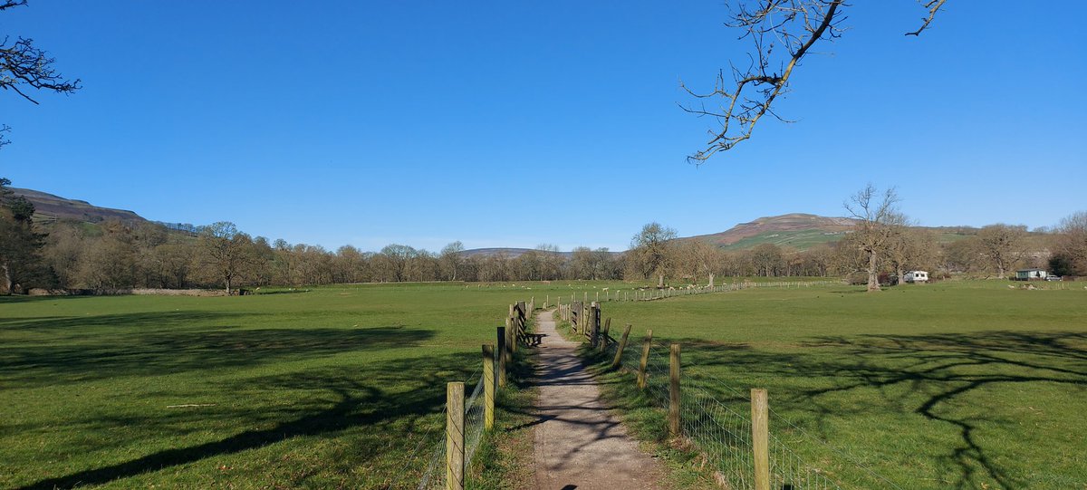 AnnDHenderson's tweet image. Morning walk @yorkshire_dales #Swaledale. A beautiful day. #TimeOut