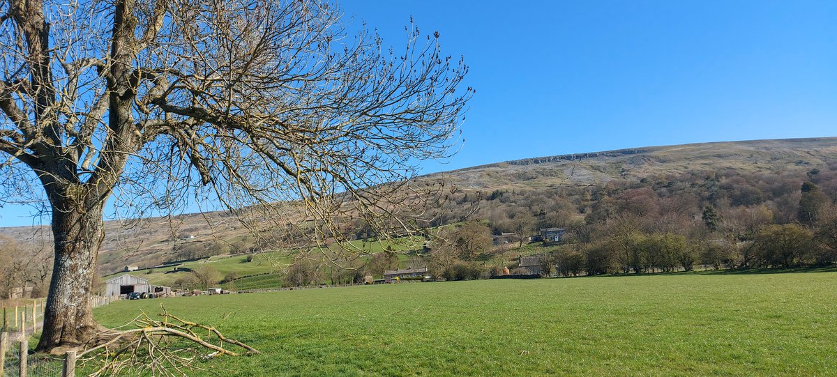 AnnDHenderson's tweet image. Morning walk @yorkshire_dales #Swaledale. A beautiful day. #TimeOut