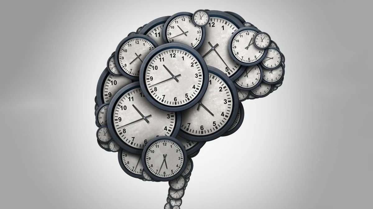 Bee Haber tweet media