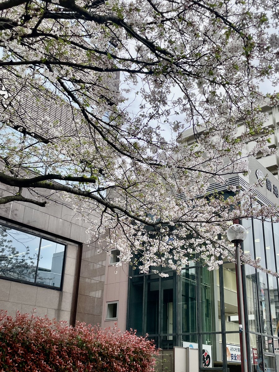 World__Planning's tweet photo. 皆様お疲れ様です！
本日の東京は☔️→☁️でした。

本日もお問い合わせ対応、物件確認、各種調整とあっという間に時間が過ぎていきます。

明日もよろしくお願いいたします✨

#企業公式
#東京不動産
#賃貸 #売買
 #企業公式���のフォロー祭り https://t.co/SWkSYNSqxd