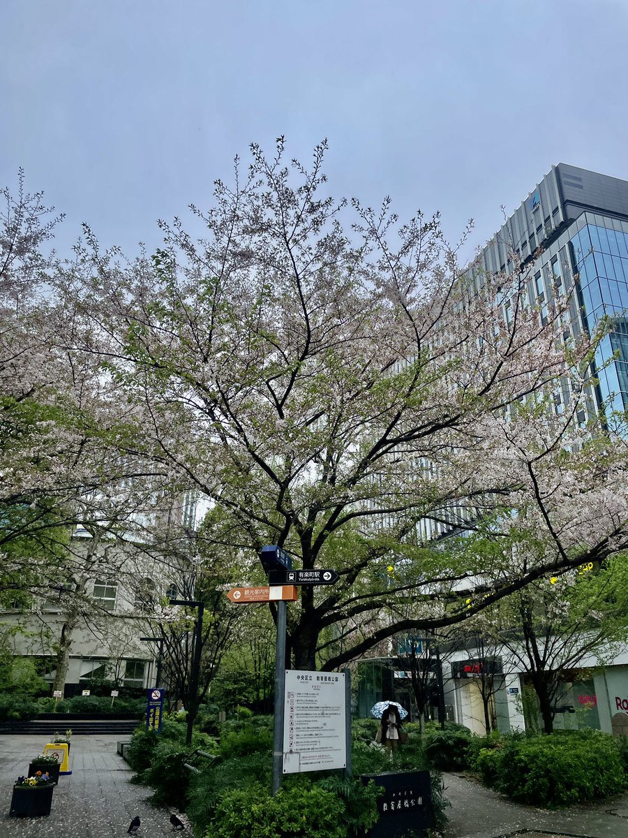 World__Planning's tweet photo. 皆様お疲れ様です！
本日の東京は☔️→☁️でした。

本日もお問い合わせ対応、物件確認、各種調整とあっという間に時間が過ぎていきます。

明日もよろしくお願いいたします✨

#企業公式
#東京不動産
#賃貸 #売買
 #企業公式���のフォロー祭り https://t.co/SWkSYNSqxd