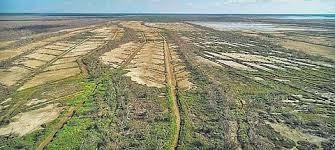 Greenstories - Stories about mother earth tweet media