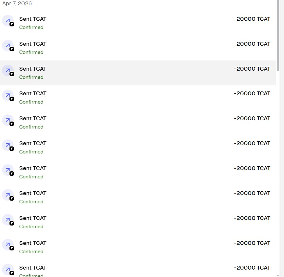 TCAT | Tempo Cat tweet media