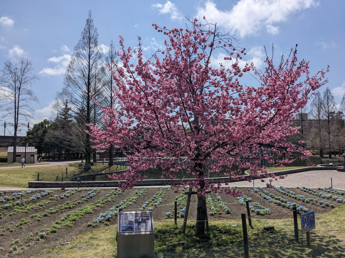 pep_on 🌌🪽 you are my energy です tweet media