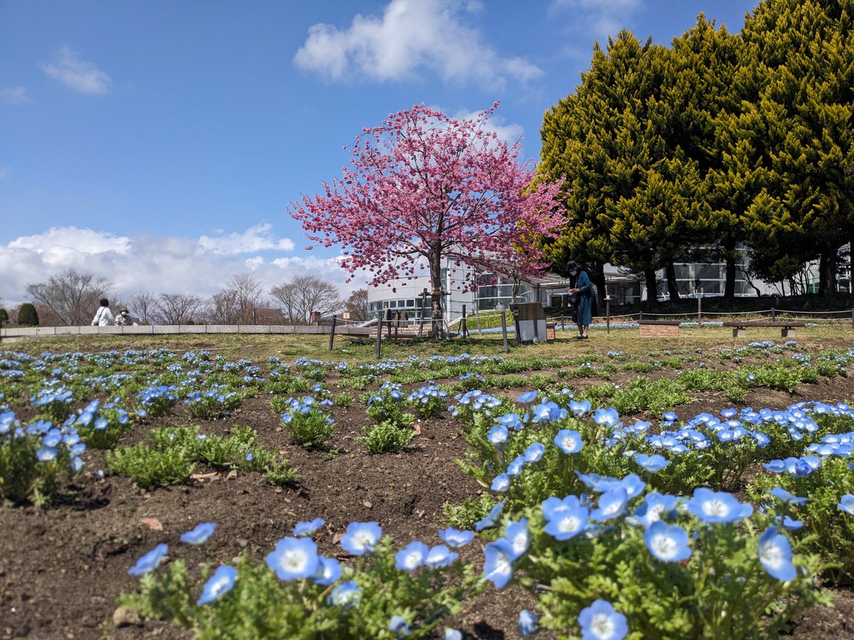 pep_on 🌌🪽 you are my energy です tweet media