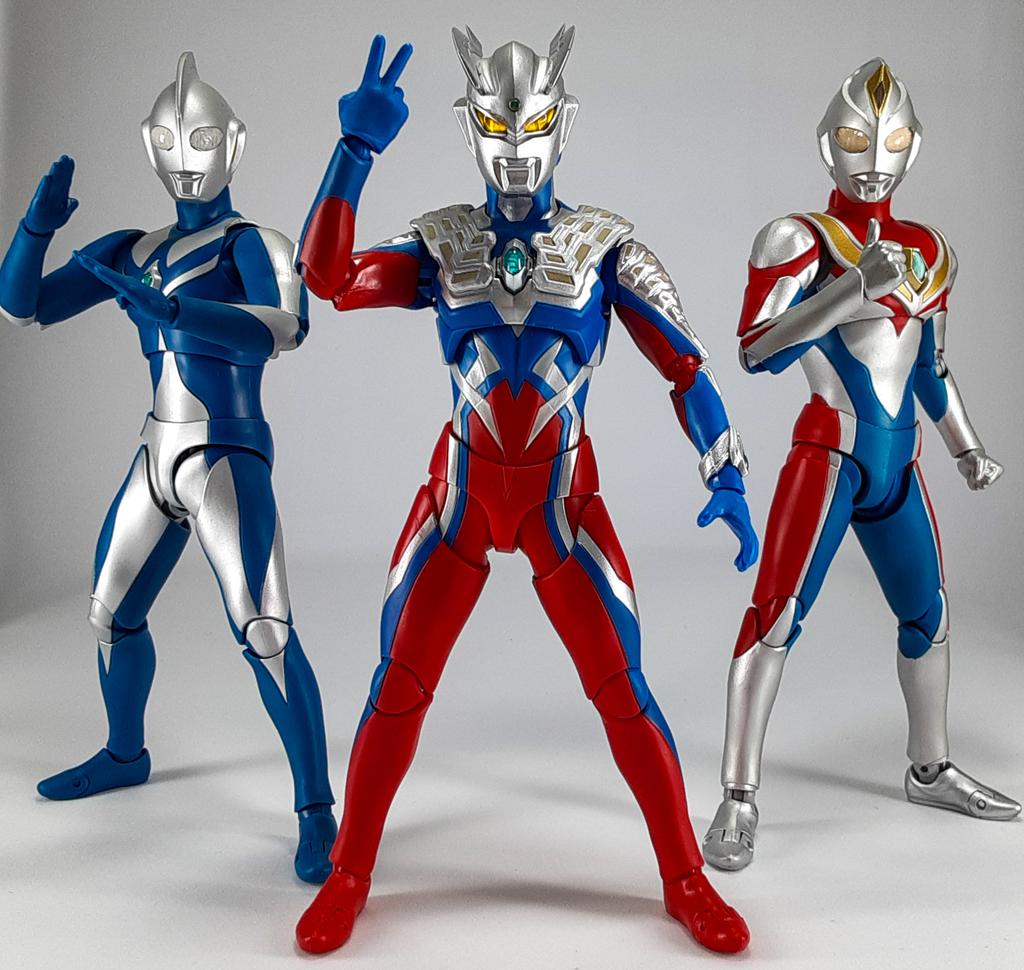 桜フブーシュ大団長 tweet media