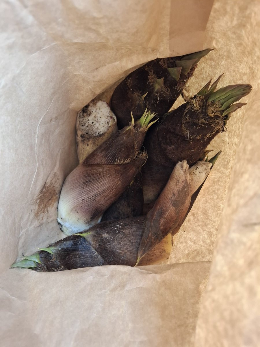 ハンドメイドサークルピュア tweet media