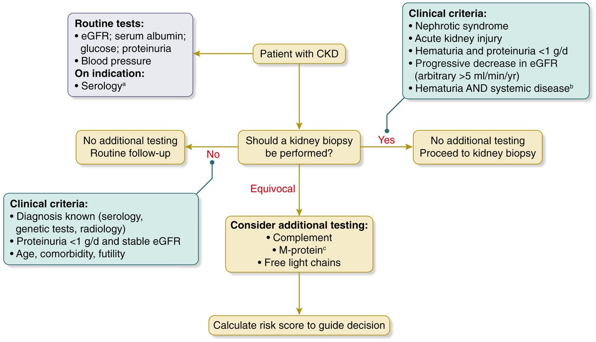 Sayed S Rahman tweet media