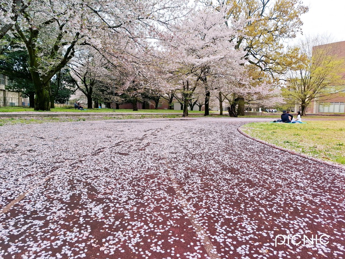 ハンドメイドサークルピュア tweet media