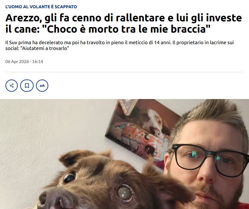 Gorilla Magilla che balla di bella tweet media
