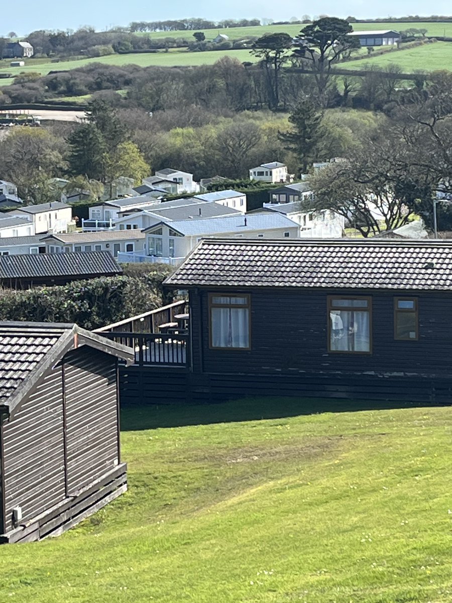 georgina belcher tweet media