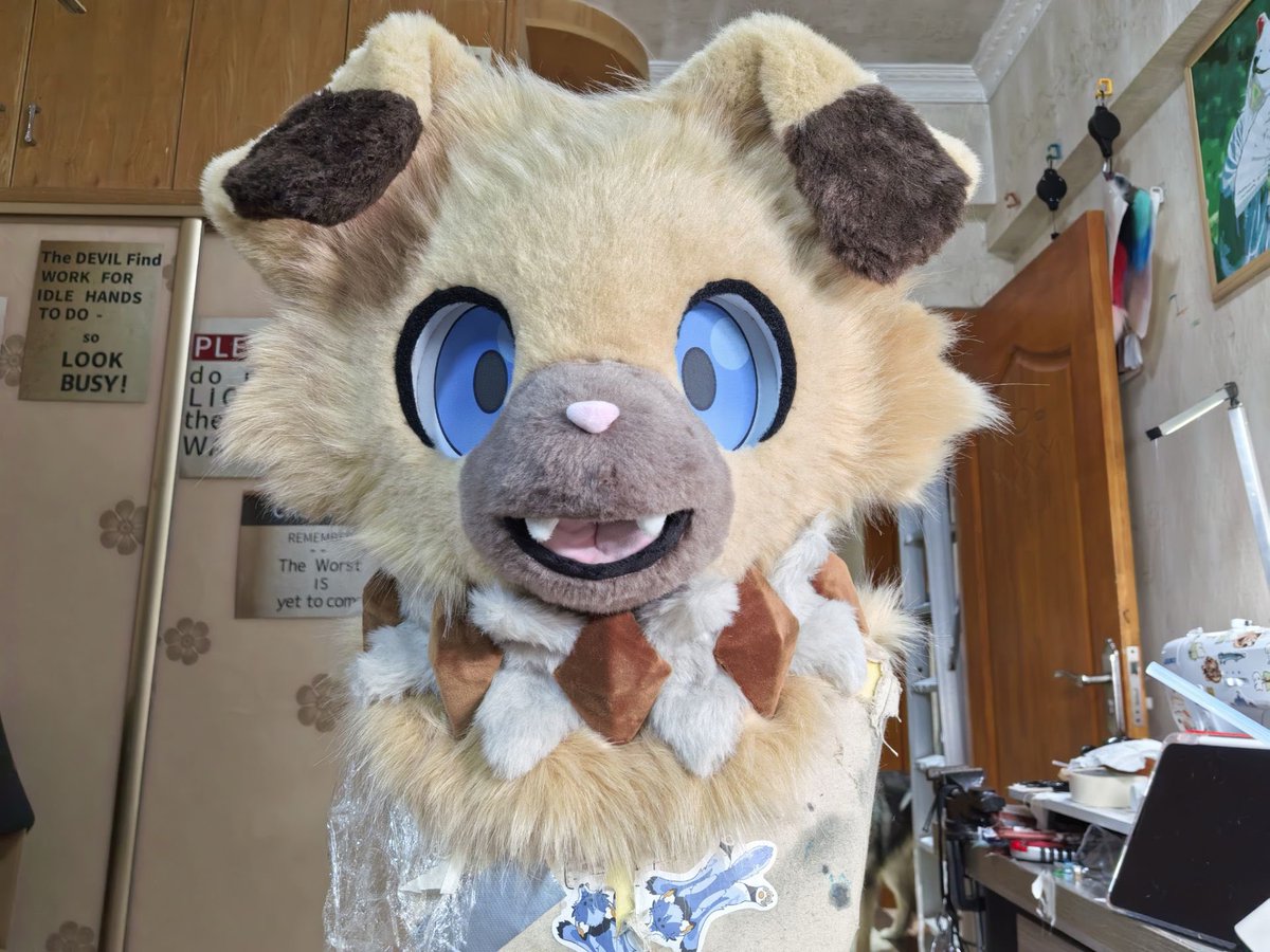 橘狼朗 tweet media