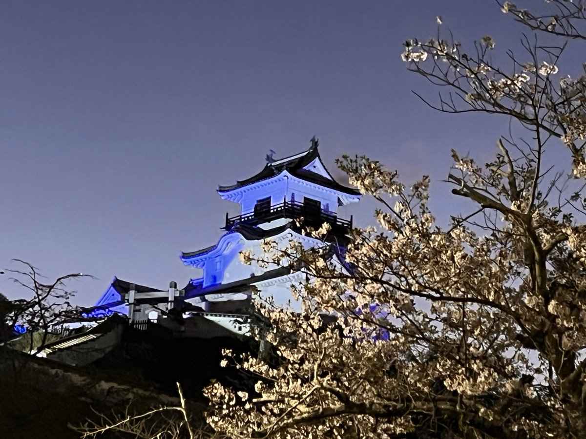 茶坊主 tweet media