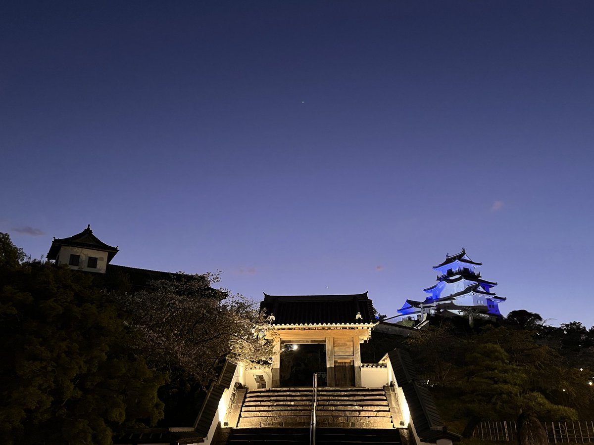 茶坊主 tweet media