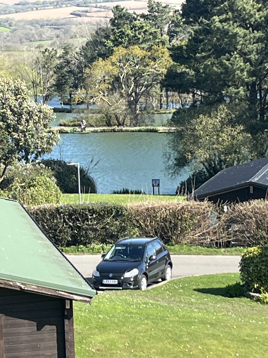 georgina belcher tweet media