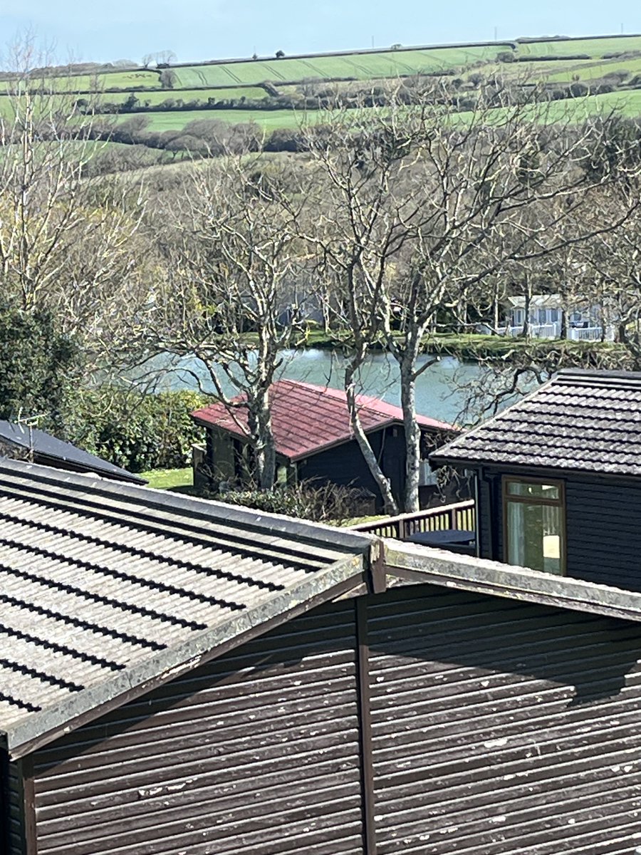 georgina belcher tweet media