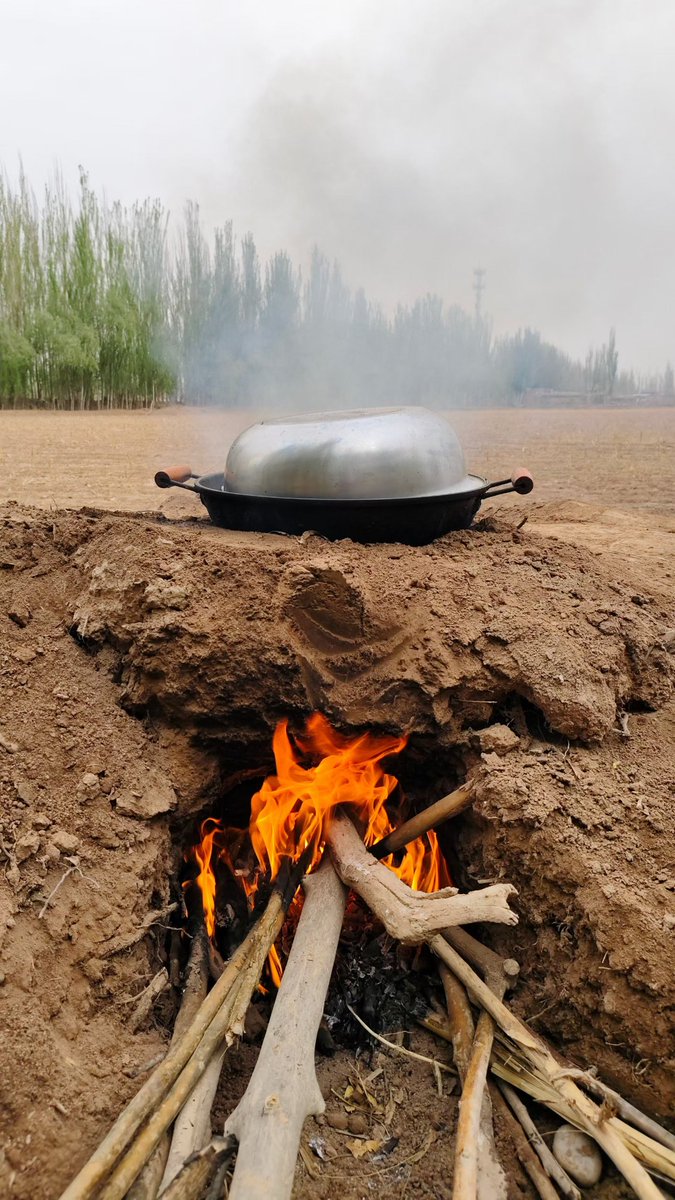 旅行小蜜蜂_（互fo） tweet media