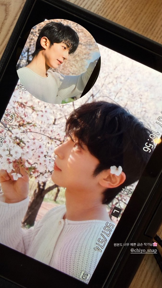 𝙎𝙒𝙄𝙏𝘾𝙃 𝙊𝙉 tweet media