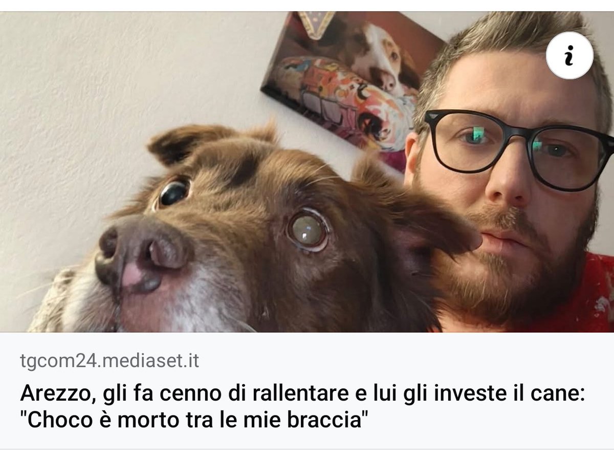 SFIGATTO tweet media