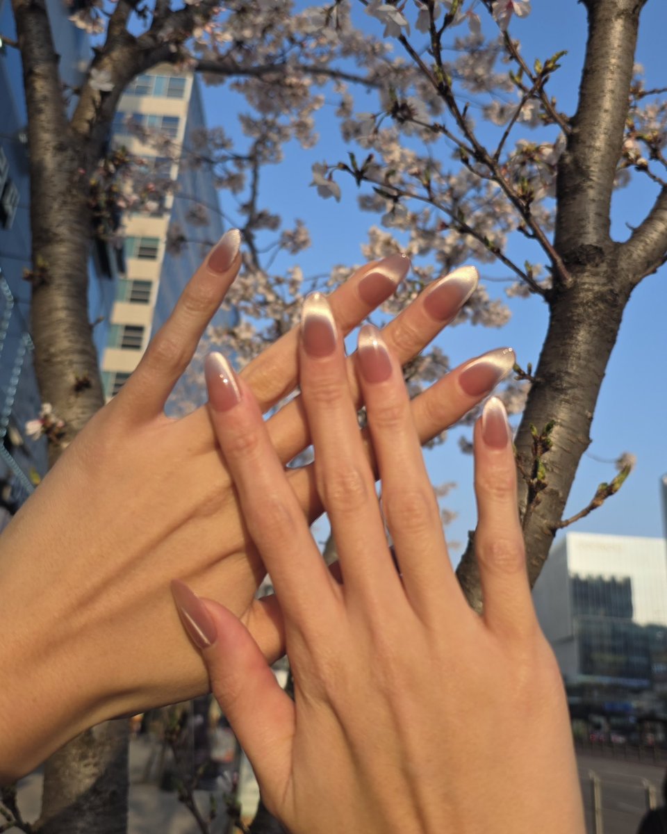 Dashing Diva (데싱디바) tweet media