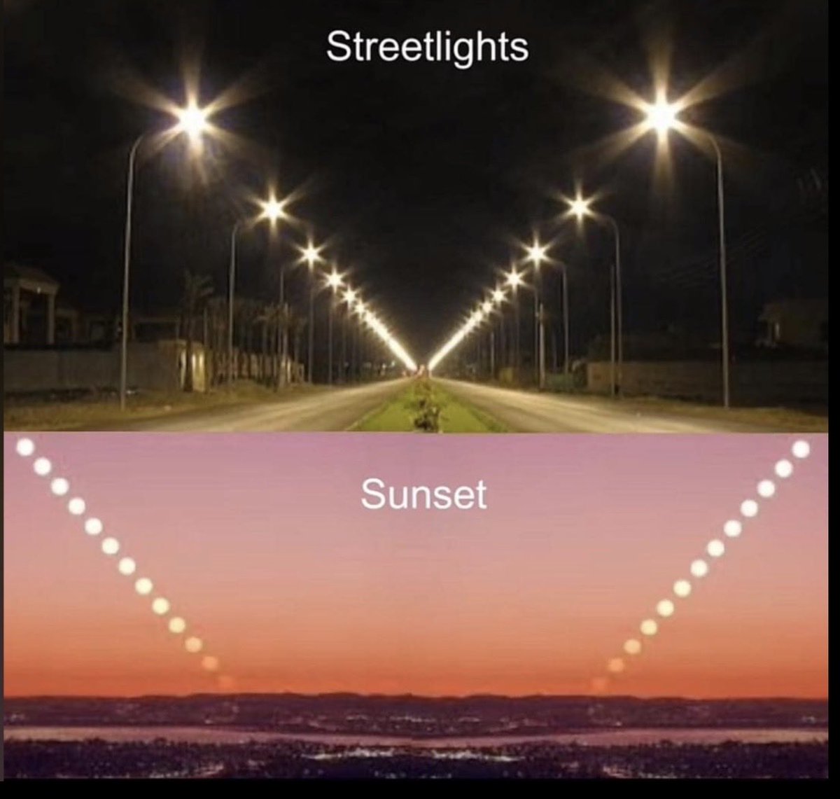 Lafayette tweet media