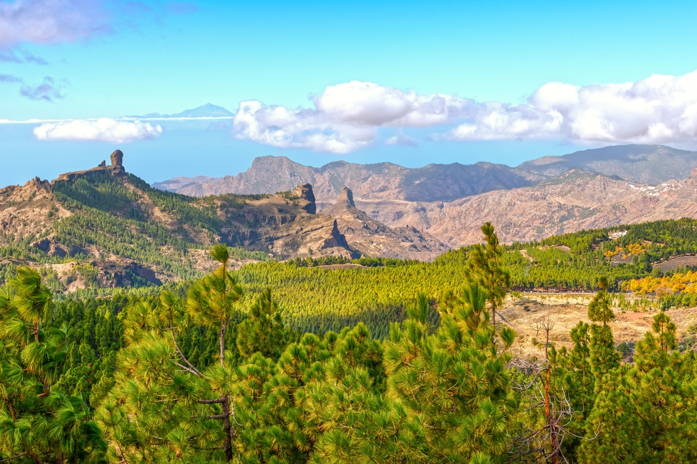 FenixCanarias's tweet photo. A veces tengo que acordarme que estos 3 paisajes están en la misma isla y con una separación entre si de apenas 20 kilómetros.
Bueno... 20 kilómetros en línea recta... ya sobre el terreno es otro cantar 😅 https://t.co/G4BXjRHtbX