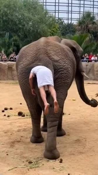 kolapo Idris tweet media