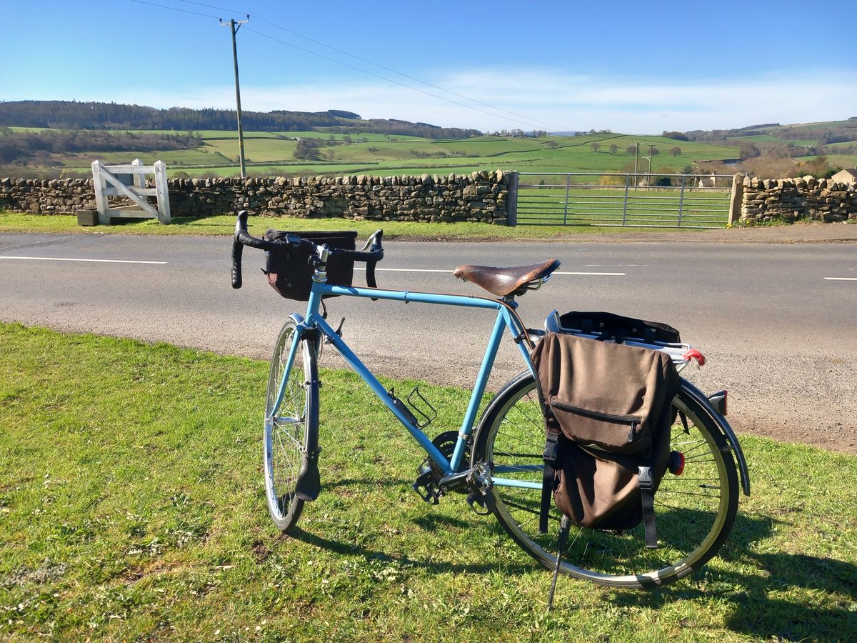 Elizabeth Bennett tweet media