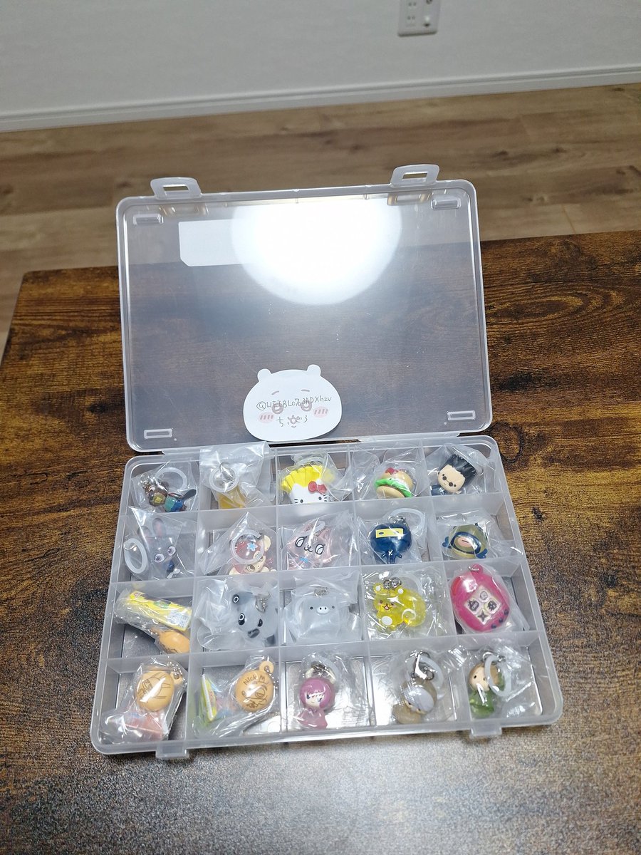 ちいぐろ tweet media